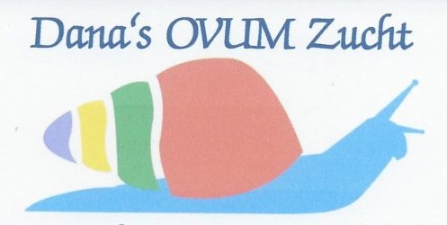 Logo von Dana`s ovum Zucht. Ein passendes Bild wird noch gesucht